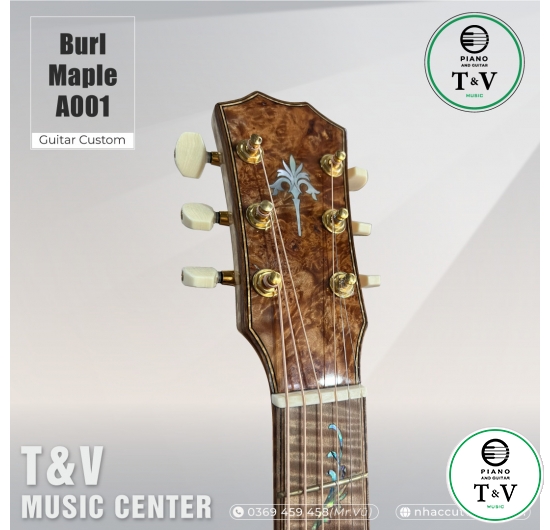 Acoustic Guitar A001