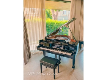 C.Bechstein A-190