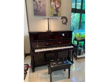 Gershwin G100