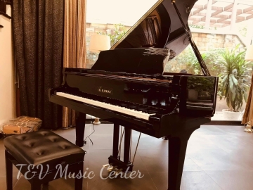 Kawai GX-2