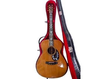 Guitar A001