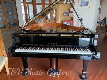 Grand Yamaha G1E(1)