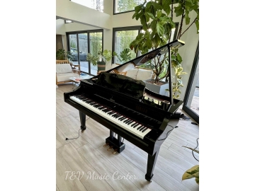 Roland RG3F