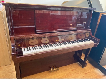 Steinrich S18.