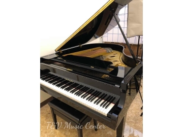 Grand Yamaha G2