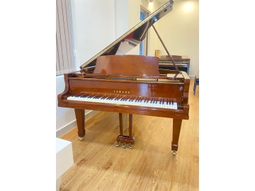 Grand Yamaha G5