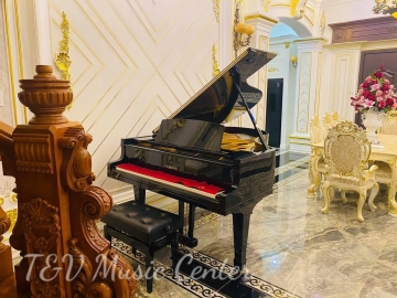 Yamaha G3E