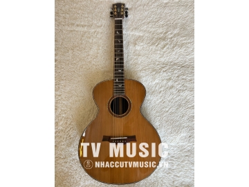Gibson GS-002