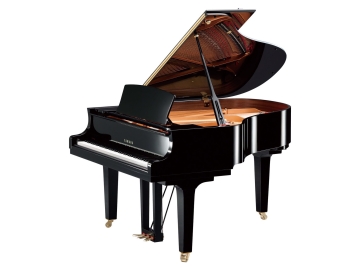 Yamaha C2X