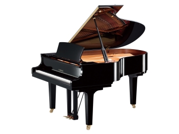 Yamaha C6X