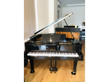 Yamaha G2 