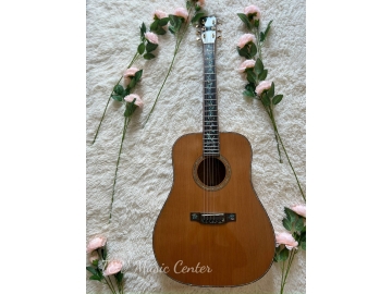 Acoustic Guitar A032 D-45( Martin )