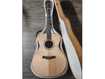 Guitar 042