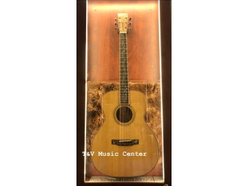Guitar A101