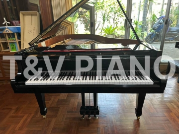 Kawai KG-2D