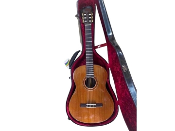 Guitar C002