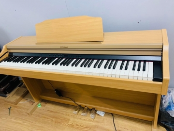 Roland RP501
