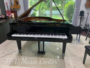 Yamaha G2A