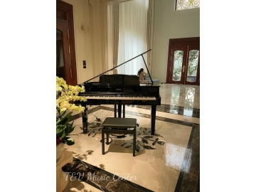 Roland GP-607