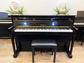 Yamaha DUP20-PE