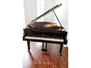 Yamaha C1X