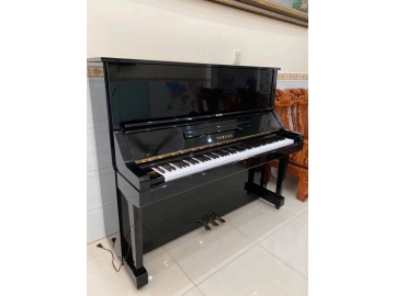 Yamaha 002