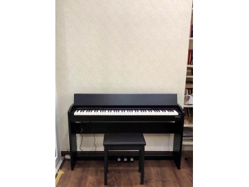 Roland 001