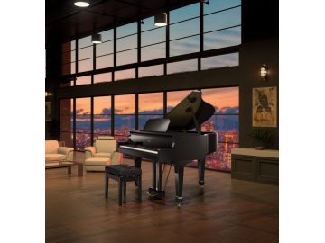 Roland GP-609