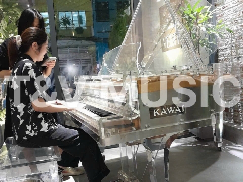 Piano Crystal Kayserburg/Kawai