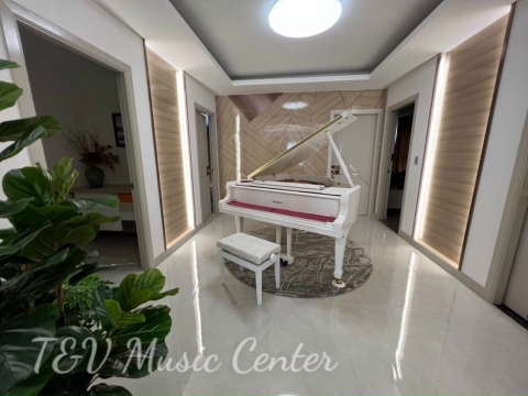 Grand Piano Tại Nhà Hàng