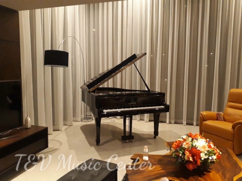 Grand Piano Tại Nhà Hàng