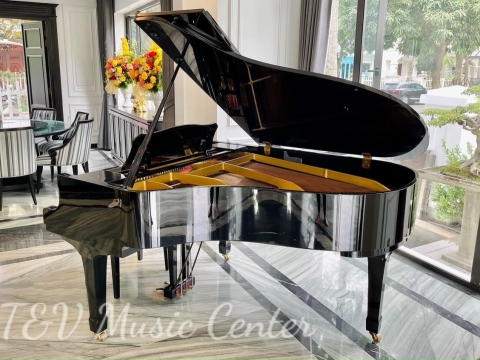 Grand Piano Tại Nhà Hàng