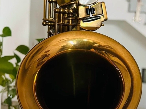 Bộ Sưu Tập Saxophone