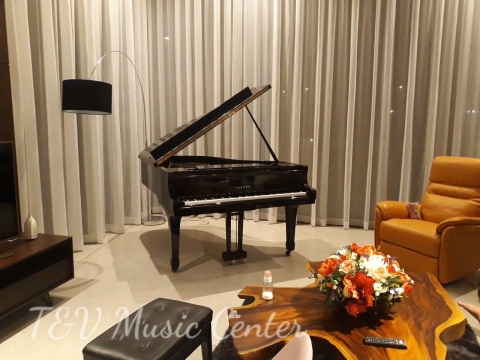 Grand Piano Tại Nhà Hàng