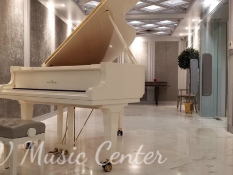 Grand Piano Tại Nhà Hàng