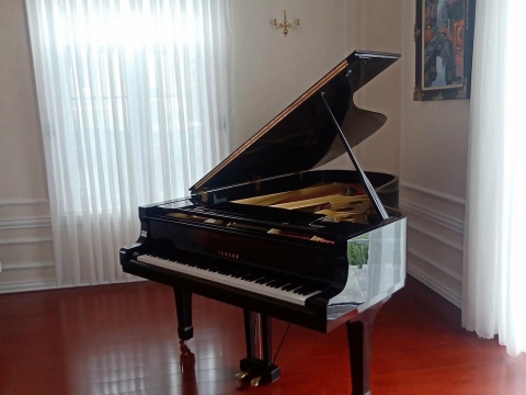 Grand Piano Tại Nhà Hàng