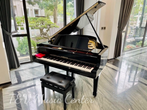 Grand Piano Tại Nhà Hàng