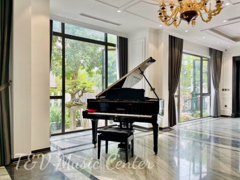 Grand Piano Tại Nhà Hàng