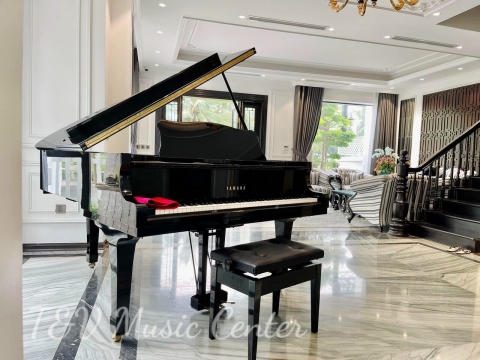 Grand Piano Tại Nhà Hàng