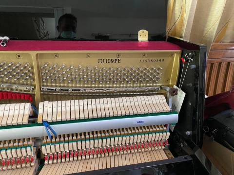 Yamaha JU109PE