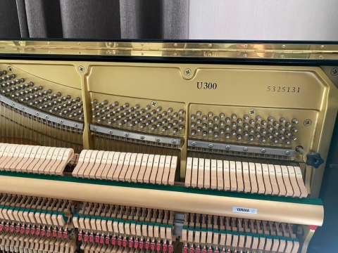 Yamaha U300