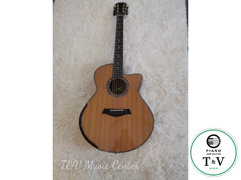 Acoustic Guitar A010(1)