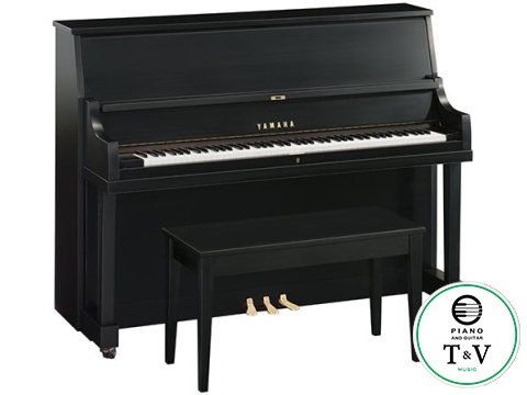 Yamaha P22