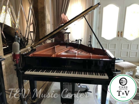 Yamaha C1X(1)
