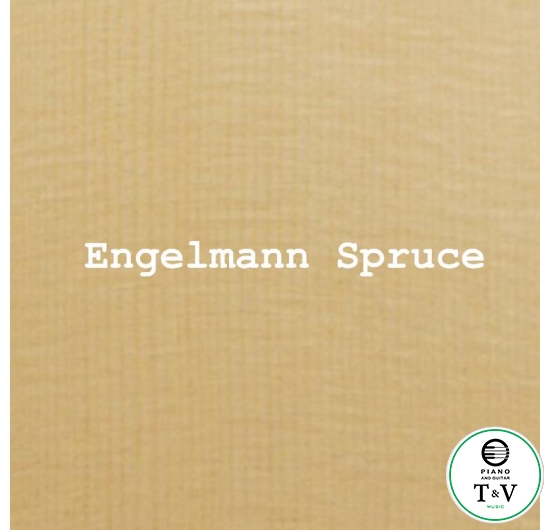 Engelmann Spruce