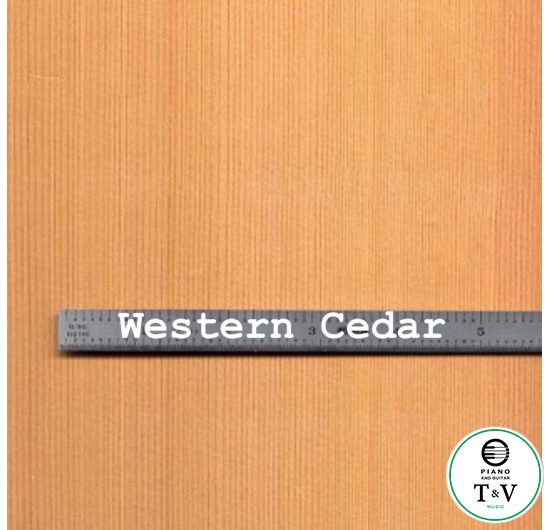 Western Cedar