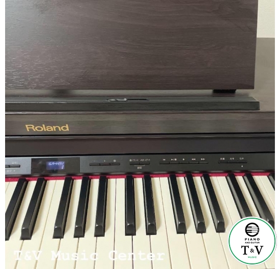 Roland HP-504( Rosewood )