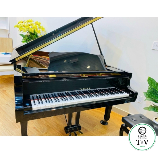 Yamaha Grand C7B(1) 