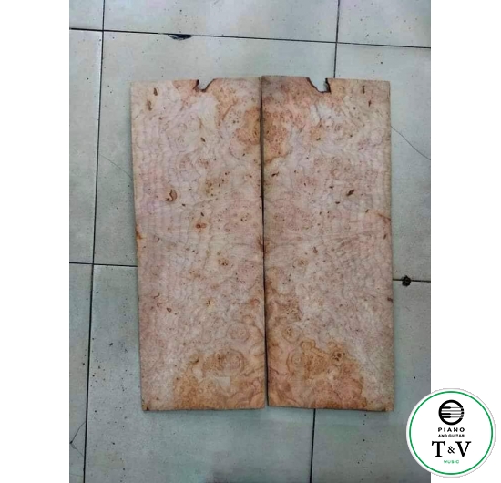 Gỗ Nu Maple
