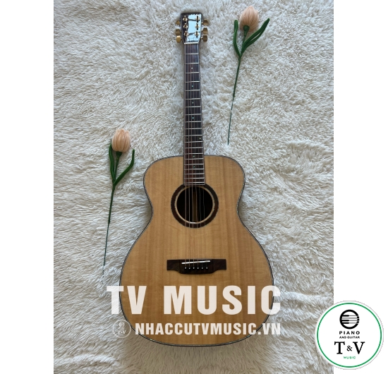 Guitar Acoustic OM-10